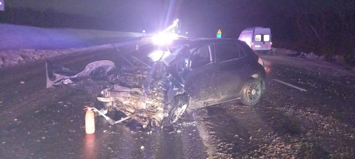 В лобовом столкновении на трассе в Тверской области пострадали водители и пассажиры