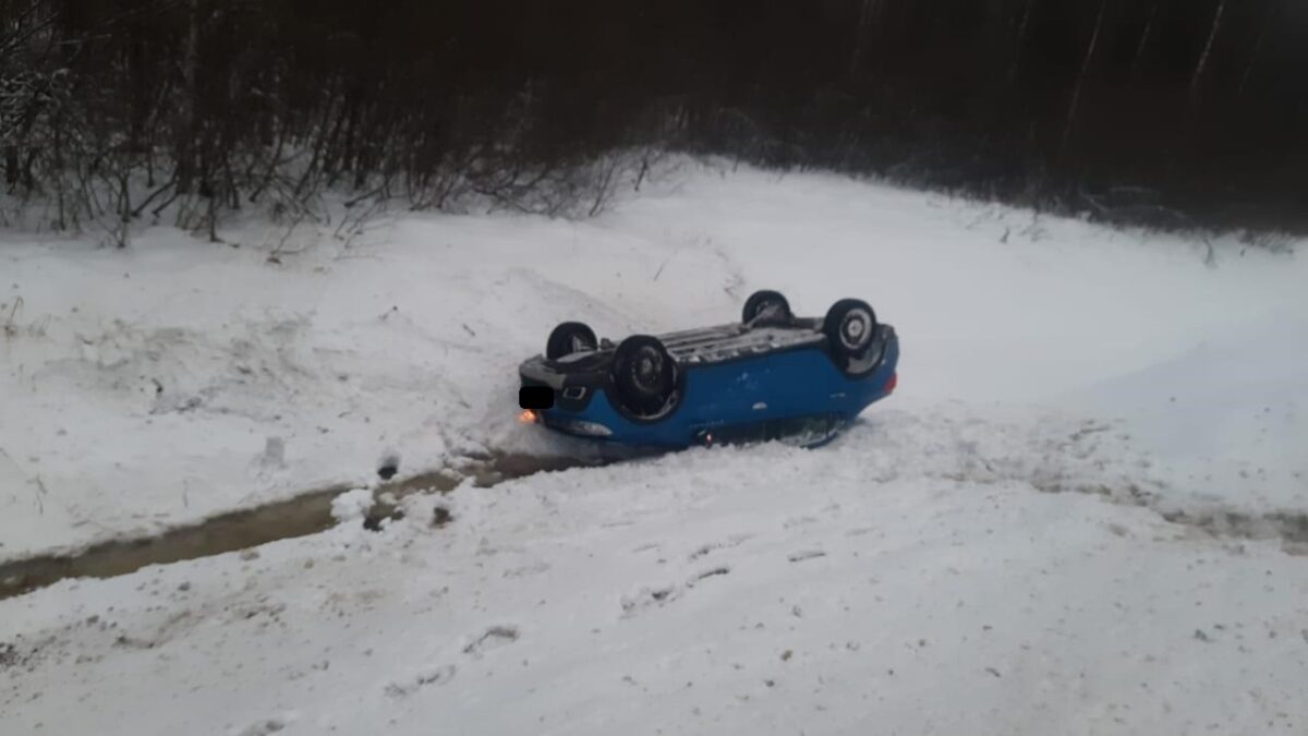 "Логан" вылетел в кювет и перевернулся в Тверской области