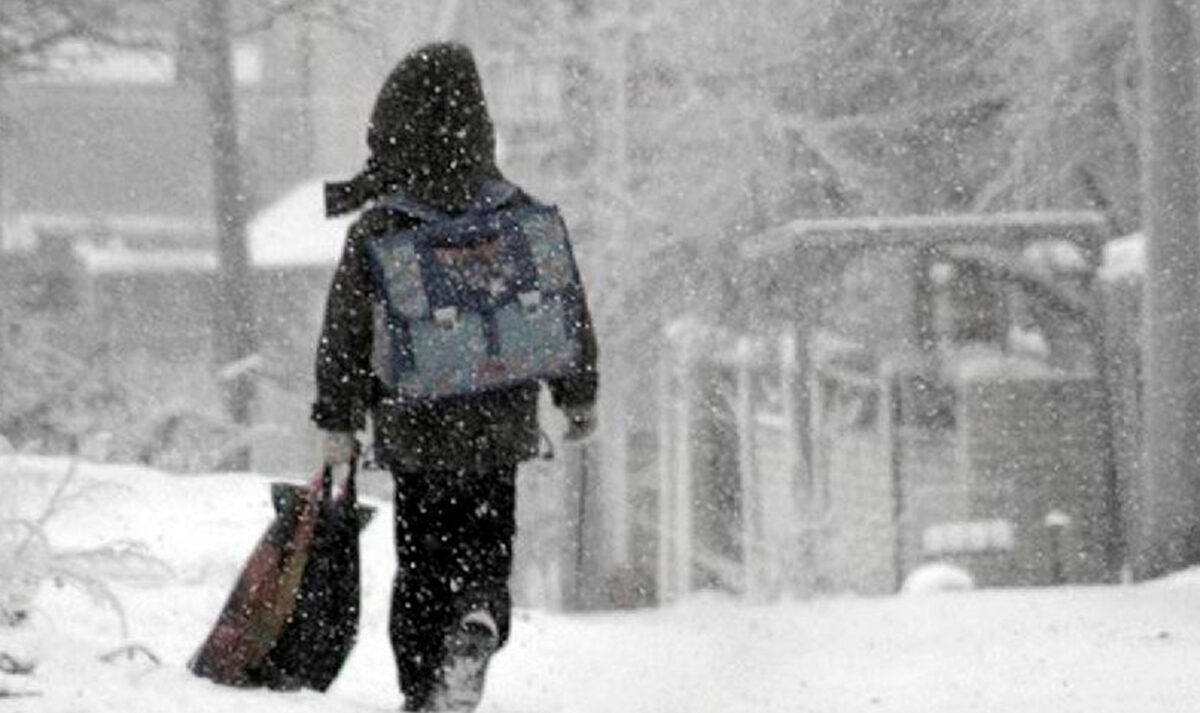 Дети в Тверской области ждут автобус под снегом и дождем Дети в Тверской области ждут автобус под снегом и дождем