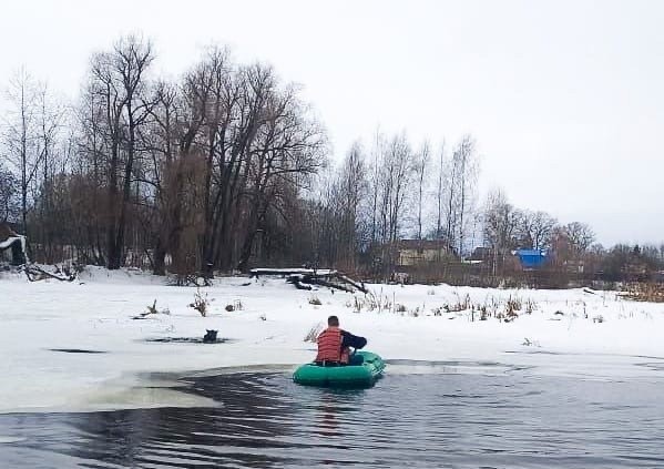 В Тверской области спасли собаку, которая провалилась в полынью