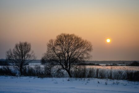 Столбики термометров в Тверской области опустятся до аномально низких температур Столбики термометров в Тверской области опустятся до аномально низких температур
