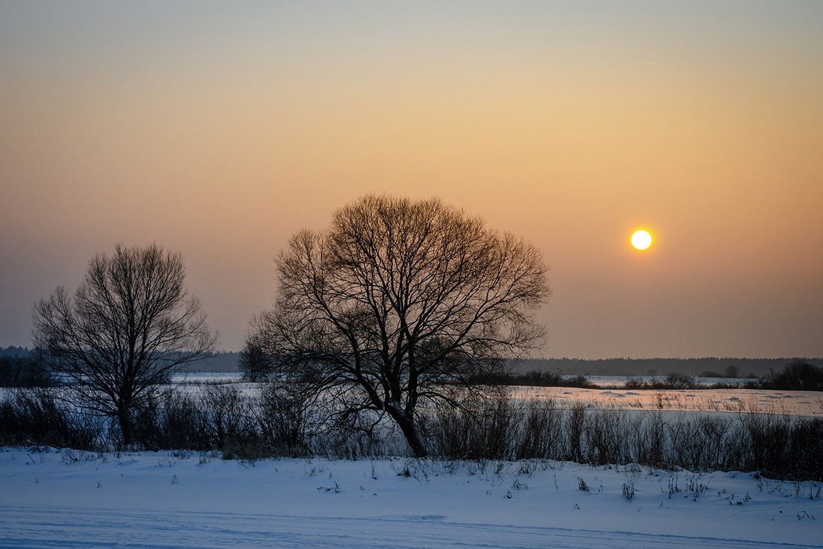 Столбики термометров в Тверской области опустятся до аномально низких температур