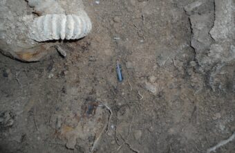 В Тверской области поисковики нашли кости под слоем снега и льда В Тверской области поисковики нашли кости под слоем снега и льда