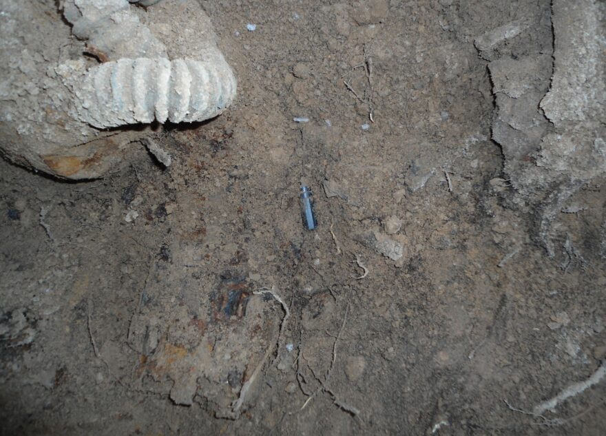 В Тверской области поисковики нашли кости под слоем снега и льда