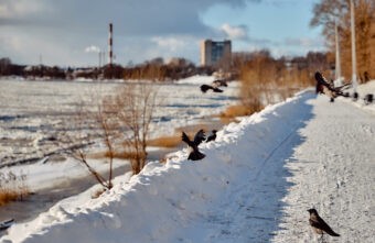 Тверскую область начало засыпать снегом Тверскую область начало засыпать снегом
