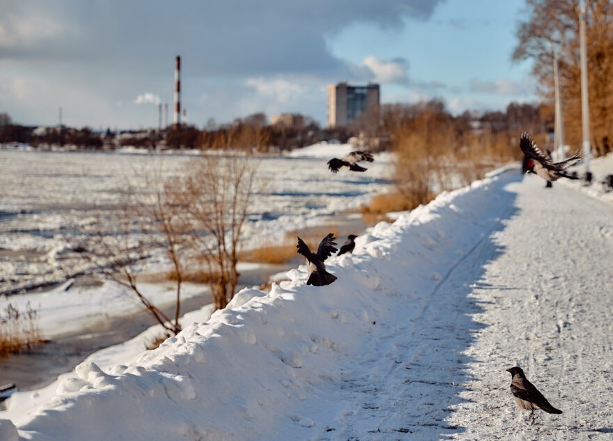 Тверскую область начало засыпать снегом
