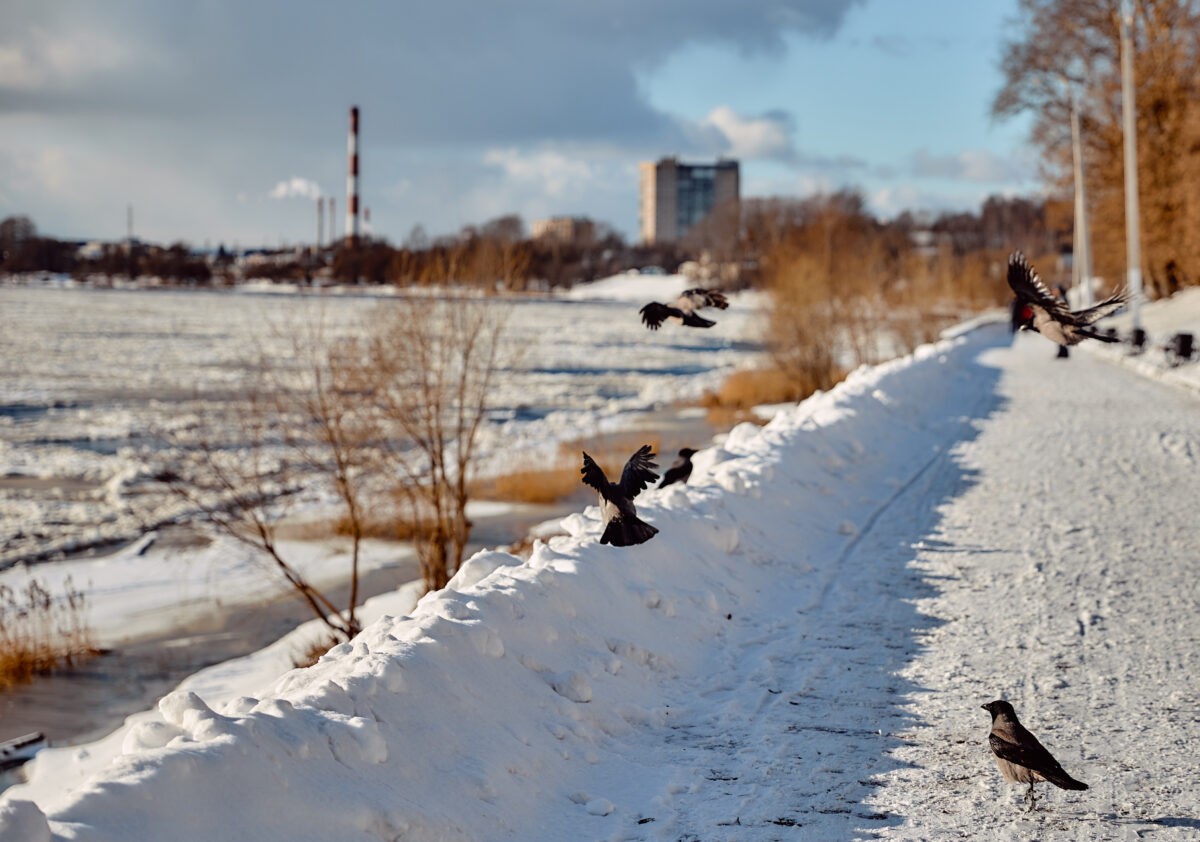 Тверскую область начало засыпать снегом
