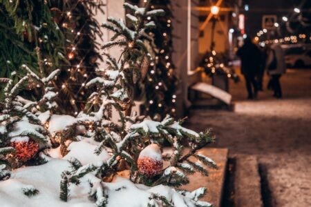 В новогоднюю ночь в Тверской области будет настоящая русская зима