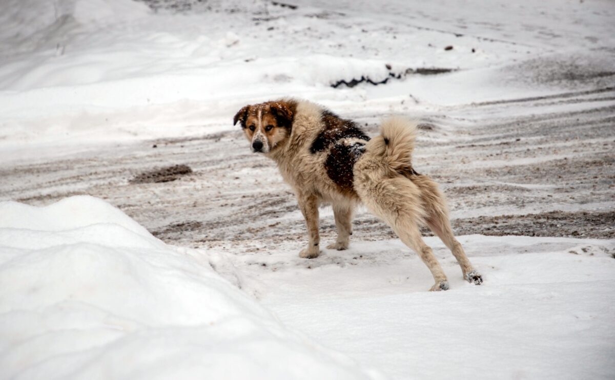 Спасатели предупредили жителей Тверской области об ужасном понедельнике