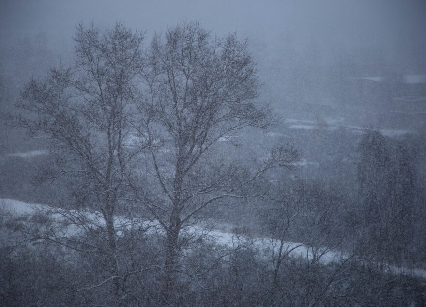 Восточные районы Тверской области завалит снегом