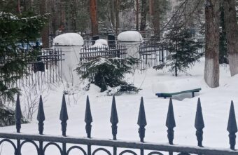 Вандалы срубили новогодние елки на воинском захоронении в Тверской области Вандалы срубили новогодние елки на воинском захоронении в Тверской области