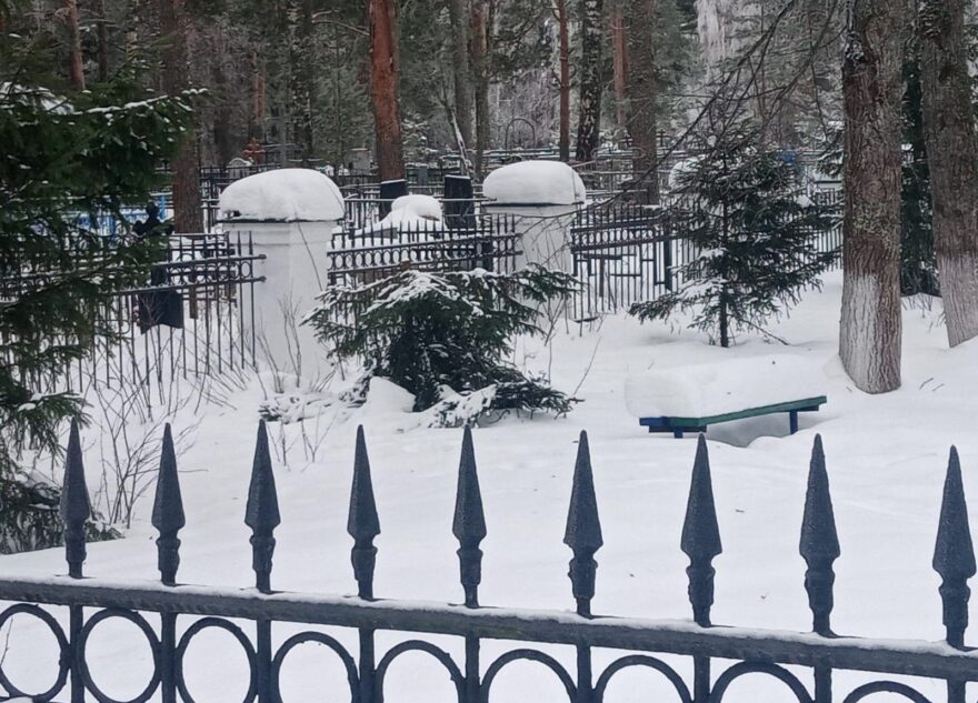 Вандалы срубили новогодние елки на воинском захоронении в Тверской области