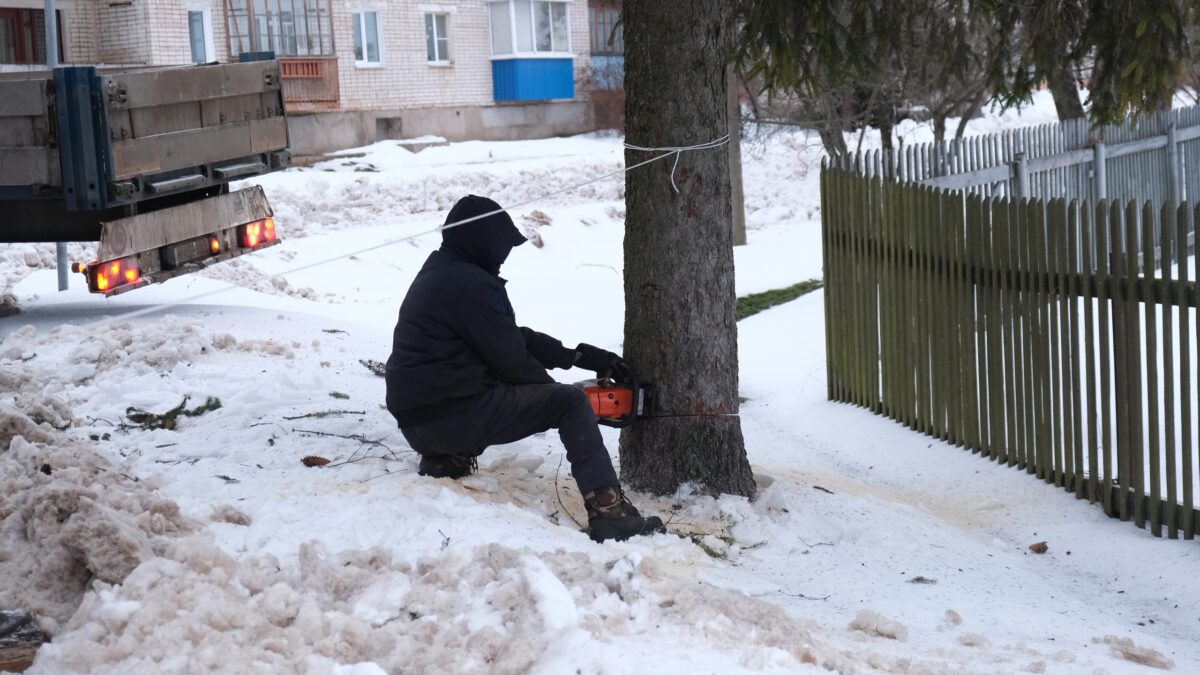 Скромная городская елка станет героиней праздничных гуляний в Тверской области
