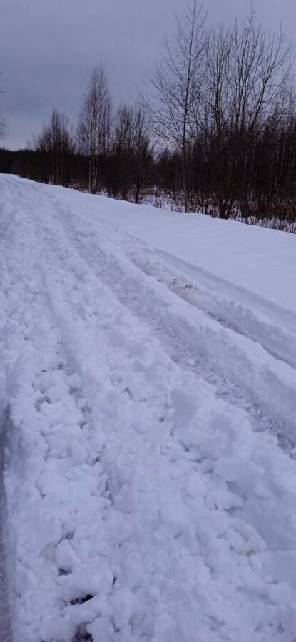 В деревнях Тверской области дети второй день не могут попасть в школу из-за снега