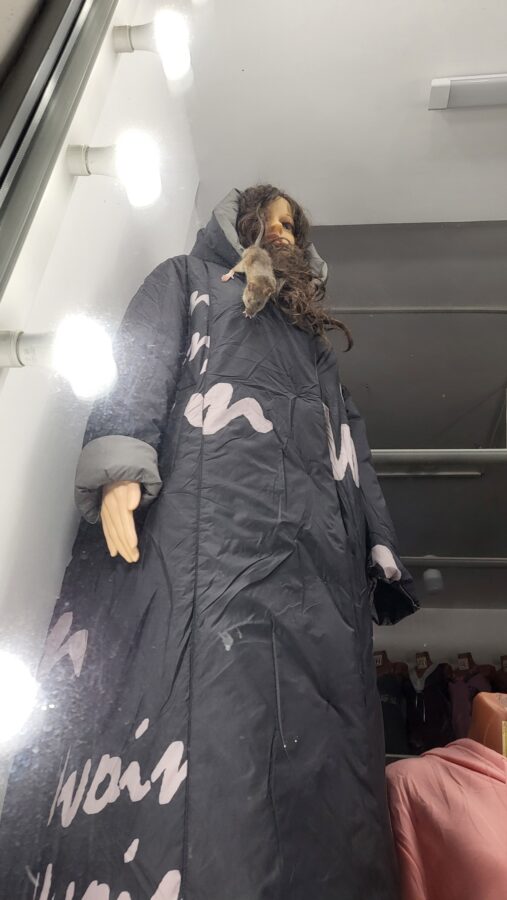 В витрине магазина в Твери прохожие увидели «живой воротник»