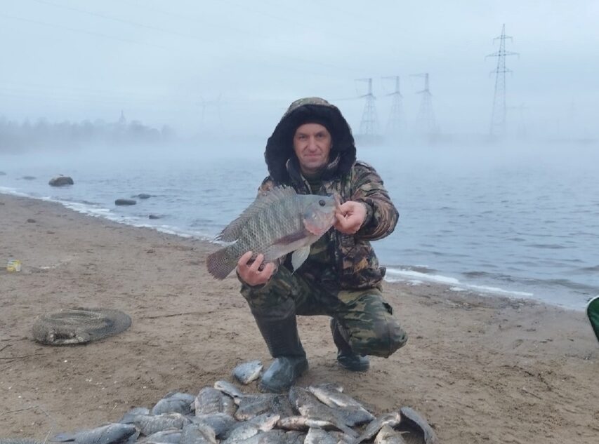 В Тверской области выловили тропическую рыбу