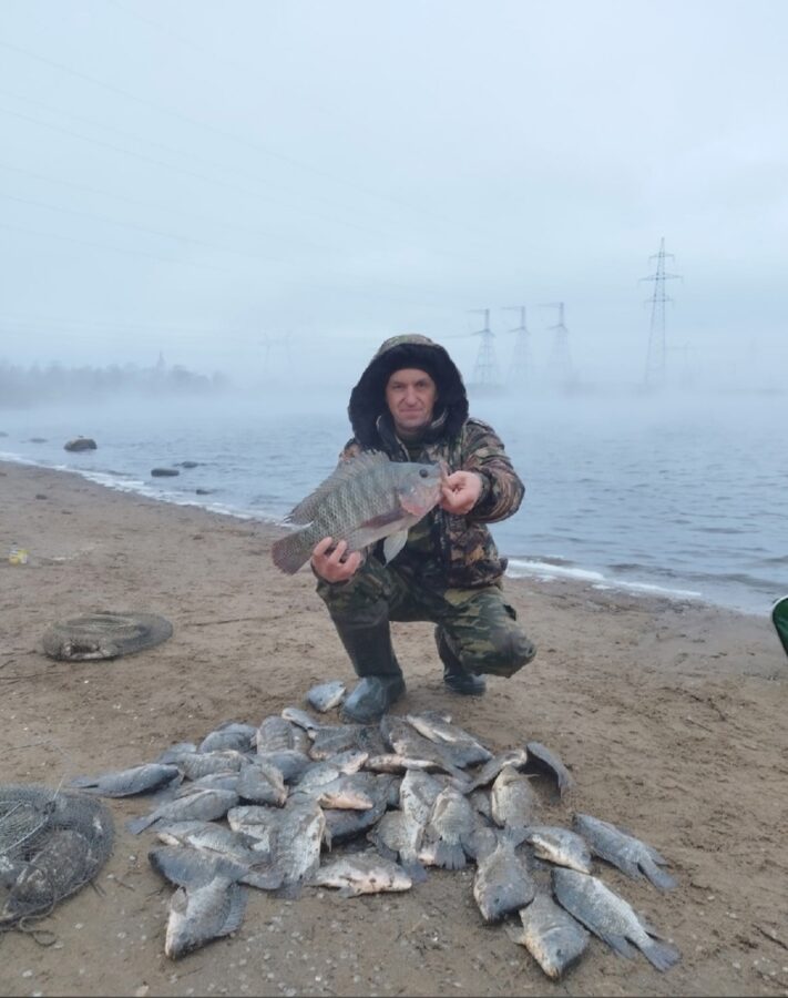 В Тверской области выловили тропическую рыбу
