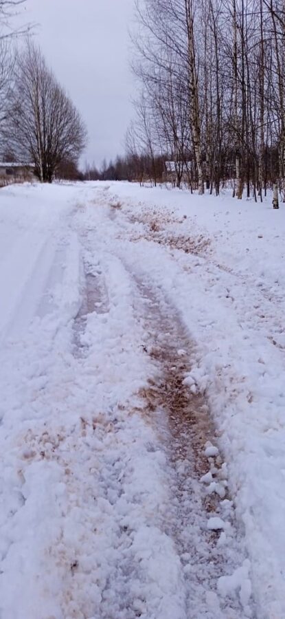 В деревнях Тверской области дети второй день не могут попасть в школу из-за снега