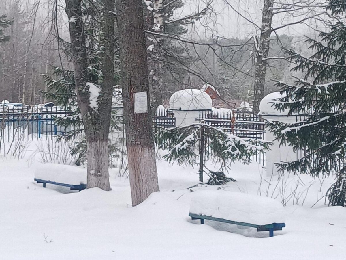Вандалы срубили новогодние елки на воинском захоронении в Тверской области