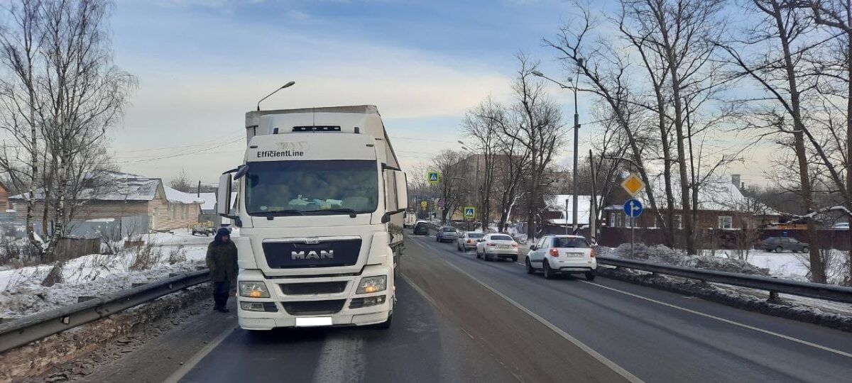 В Тверской области водитель сбил 13-летнюю девочку