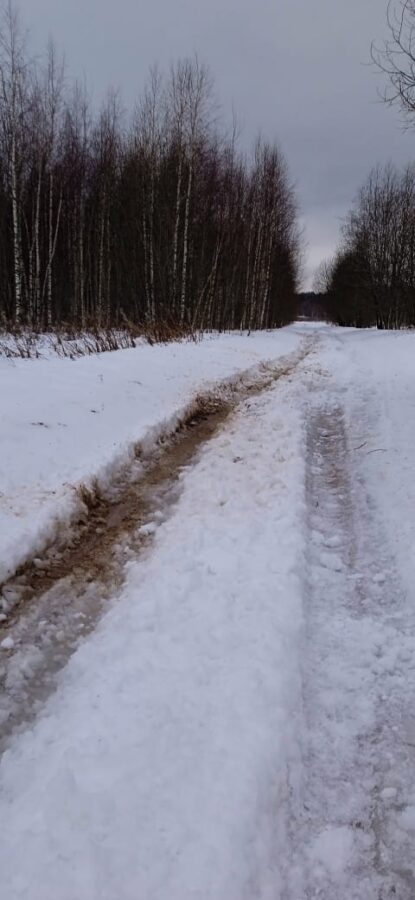 В деревнях Тверской области дети второй день не могут попасть в школу из-за снега