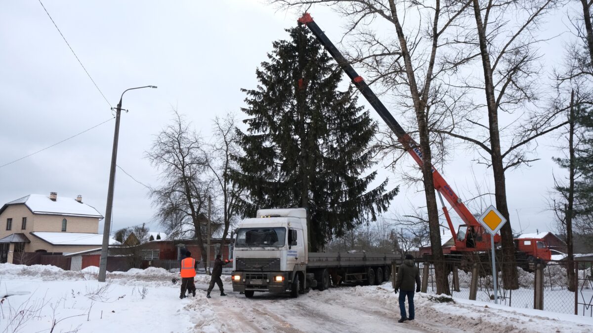 Скромная городская елка станет героиней праздничных гуляний в Тверской области