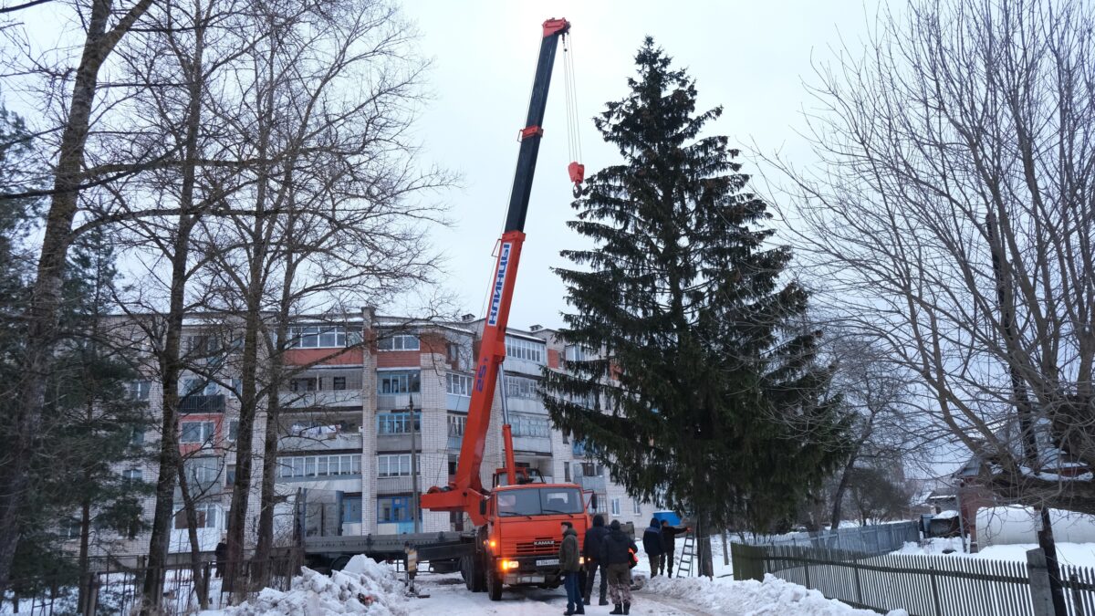 Скромная городская елка станет героиней праздничных гуляний в Тверской области