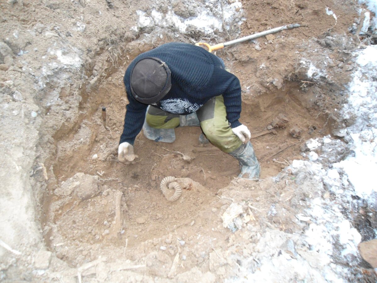 В Тверской области поисковики нашли кости под слоем снега и льда