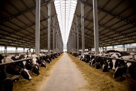 В Тверской области российские производители молочной продукции подводят итоги работы в 2022 году