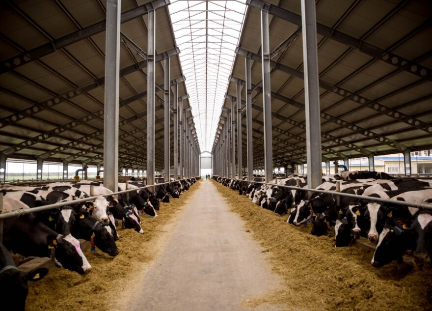 В Тверской области российские производители молочной продукции подводят итоги работы в 2022 году