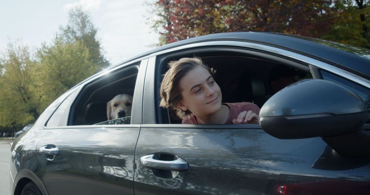 Видеоролики о Тверской области стали призерами международного конкурса «Диво Евразии»