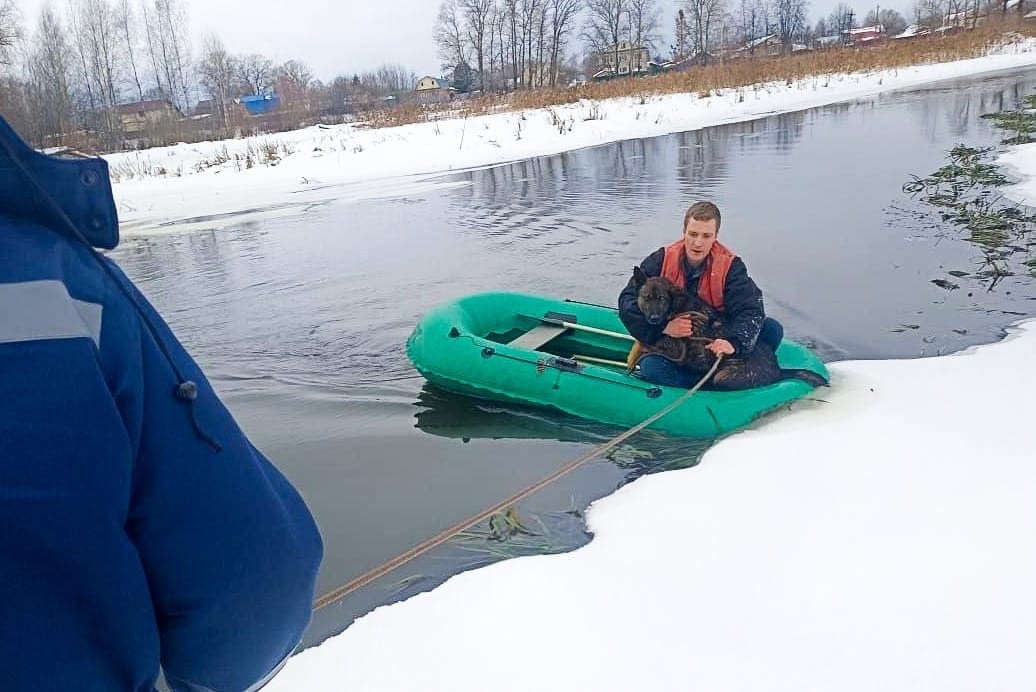 В Тверской области спасли собаку, которая провалилась в полынью