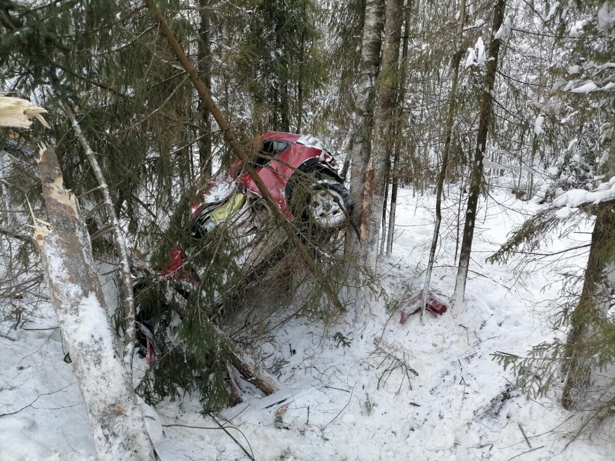 Иномарка вылетела в кювет и врезалась в дерево в Тверской области