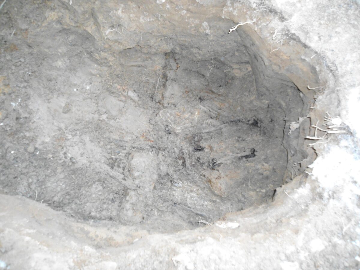 В Тверской области поисковики нашли кости под слоем снега и льда