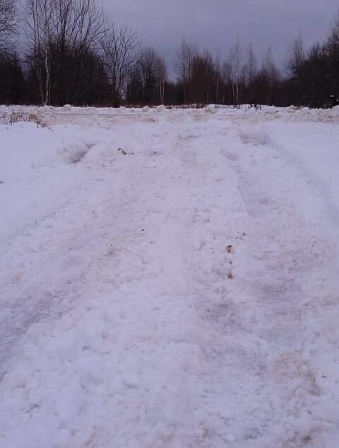 В деревнях Тверской области дети второй день не могут попасть в школу из-за снега