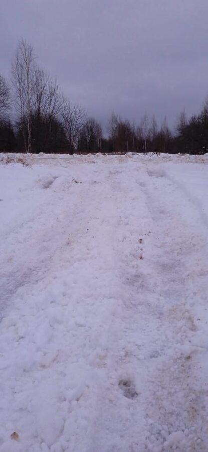 В деревнях Тверской области дети второй день не могут попасть в школу из-за снега