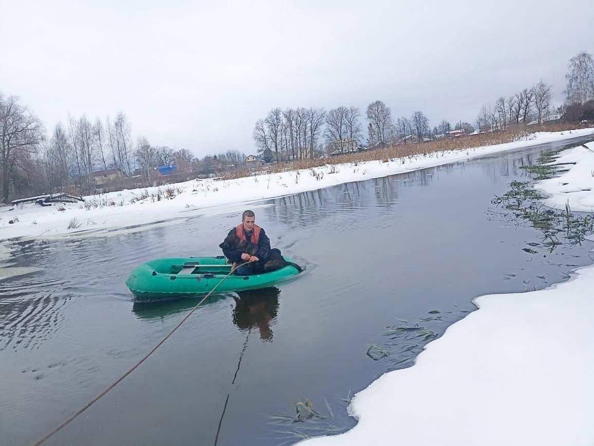 В Тверской области спасли собаку, которая провалилась в полынью