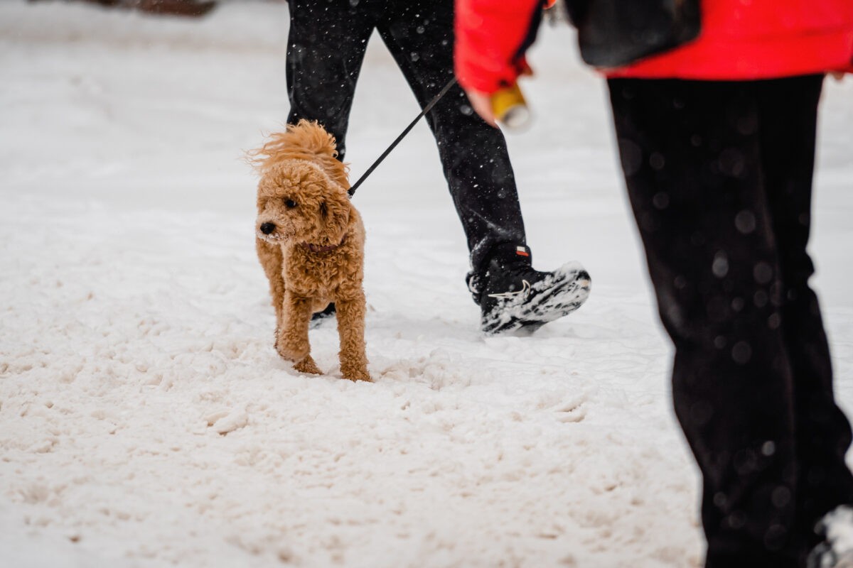 Эксперты рассказали об «окопной стопе» – болезни промокших ног