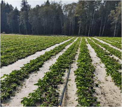 В Пеновском муниципальном округе воплотят в жизнь новый инвестпроект в сфере туризма
