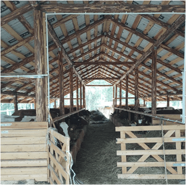 В Пеновском муниципальном округе воплотят в жизнь новый инвестпроект в сфере туризма