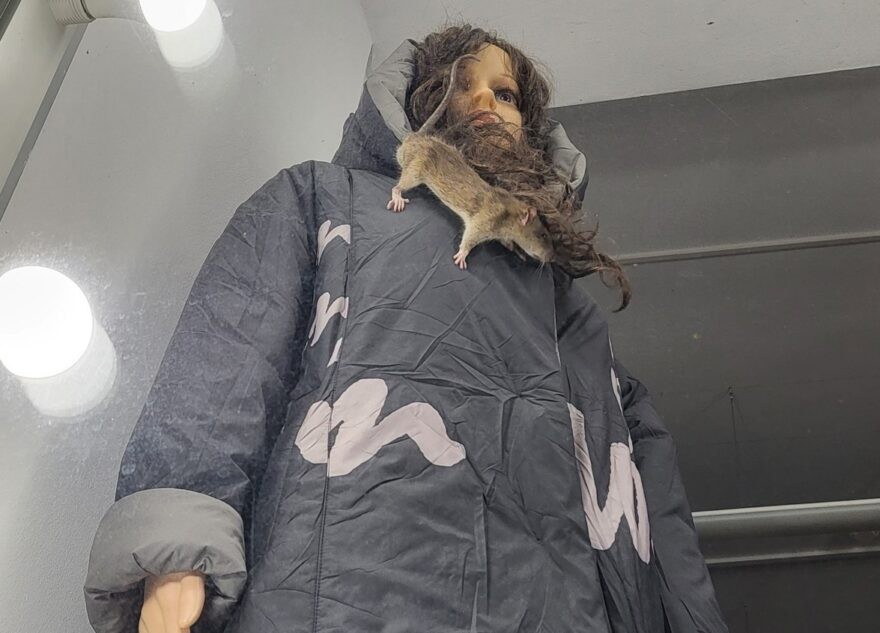 В витрине магазина в Твери прохожие увидели «живой воротник»