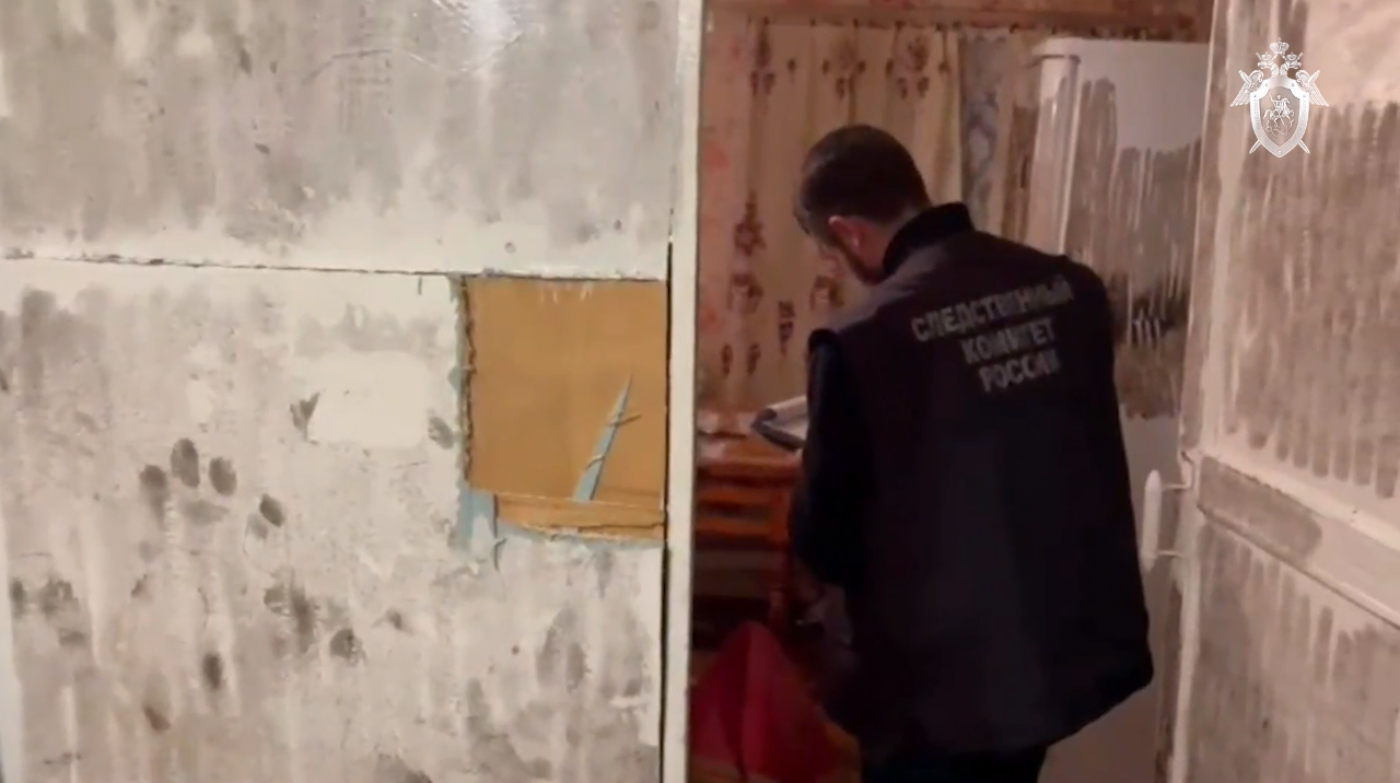 Сотрудники полиции задержали подозреваемых в ограблении и убийстве пожилой женщины в Тверской области