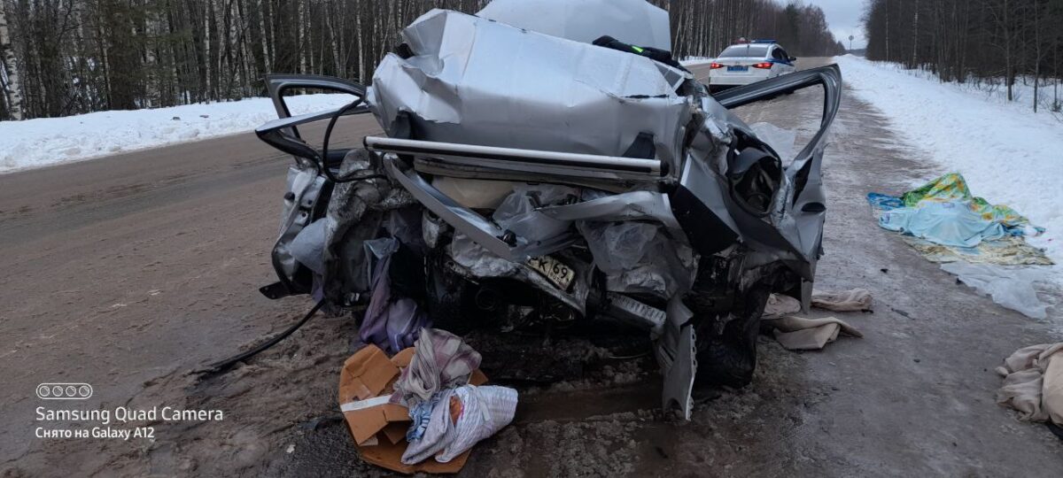В ДТП на трассе в Тверской области погиб водитель, пассажиры пострадали  