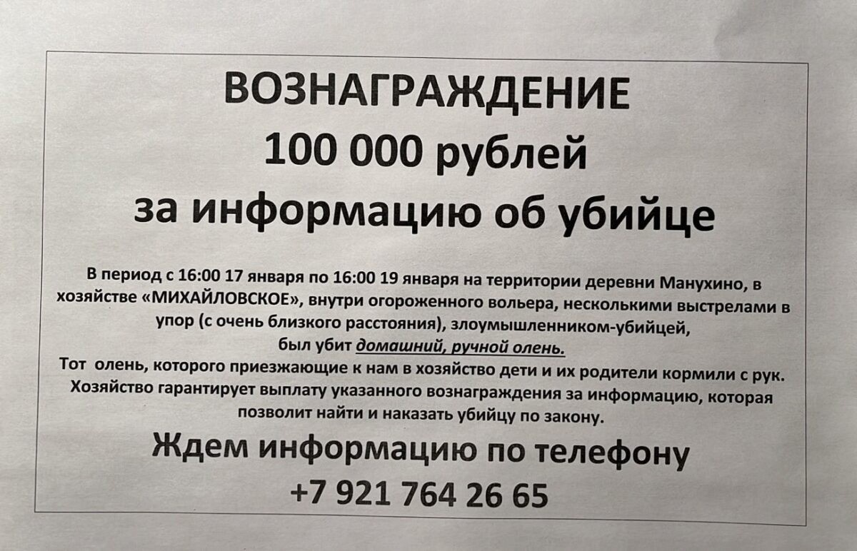 В Тверской области назначено вознаграждение за информацию об убийстве оленя  | ТОП Тверь новости