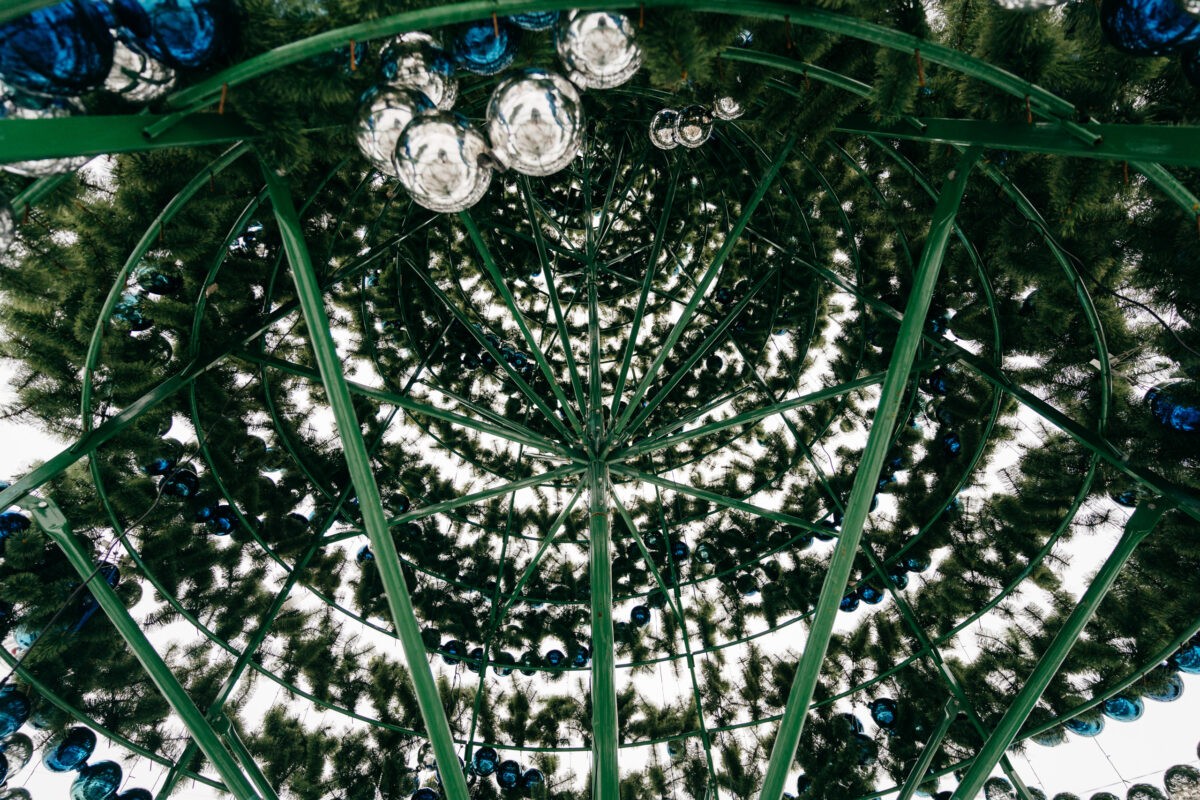 В Твери разбирают главную городскую елку: фоторепортаж