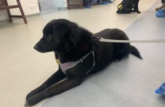 Малышу из Оленино сделают несколько операций Малышу из Оленино сделают несколько операций