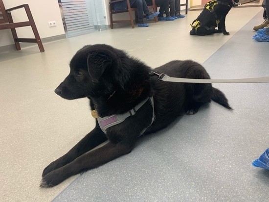 Малышу из Оленино сделают несколько операций Малышу из Оленино сделают несколько операций