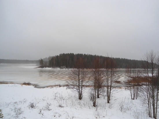 В Тверской области в первый день Нового года набрали тростника и сотворили пленэрный рисунок