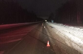 Пешеход погиб под колёсами иномарки на трассе в Тверской области Пешеход погиб под колёсами иномарки на трассе в Тверской области