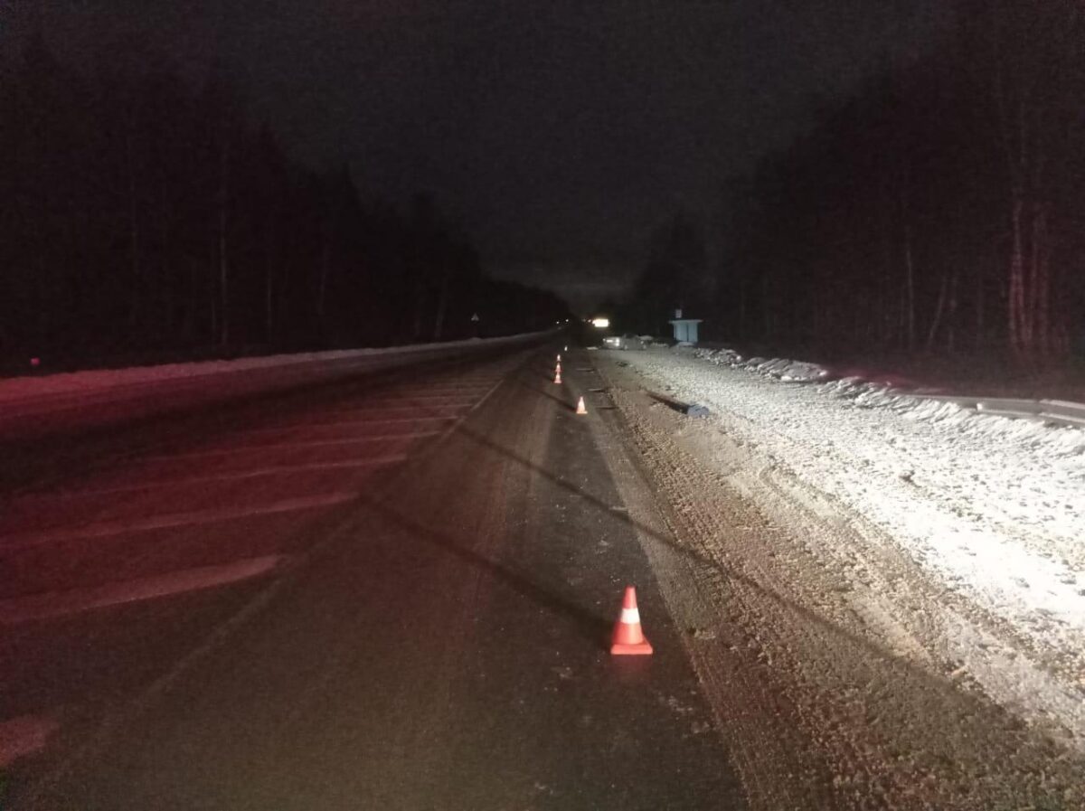 Пешеход погиб под колёсами иномарки на трассе в Тверской области